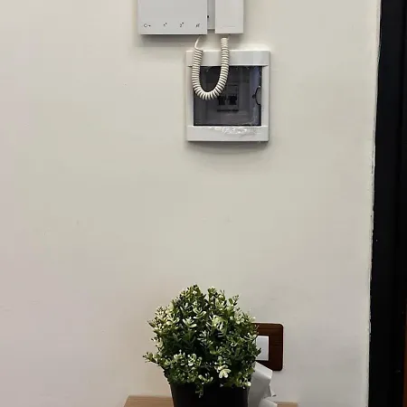 Vespucci *